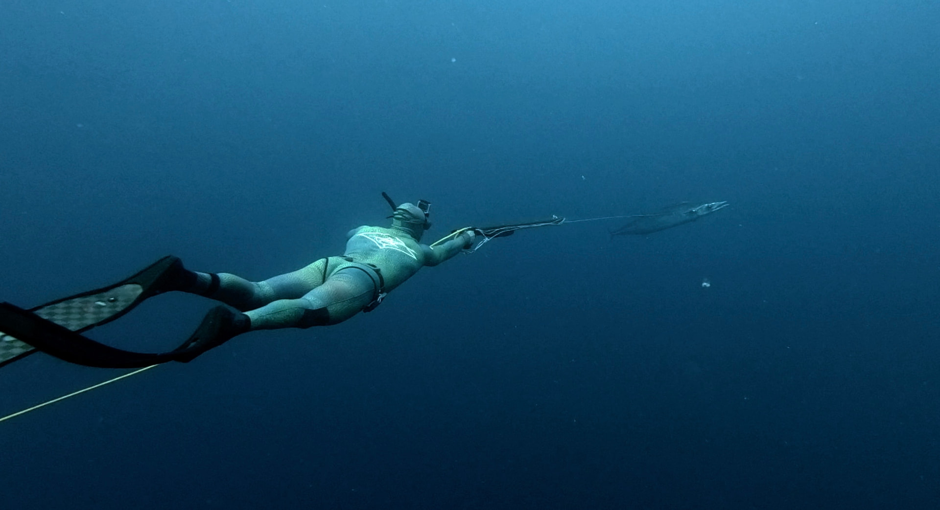 Freediver tracking a wahoo in open blue water off Cape Verde